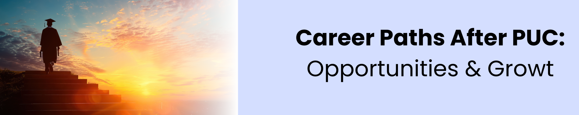 career options after PUC